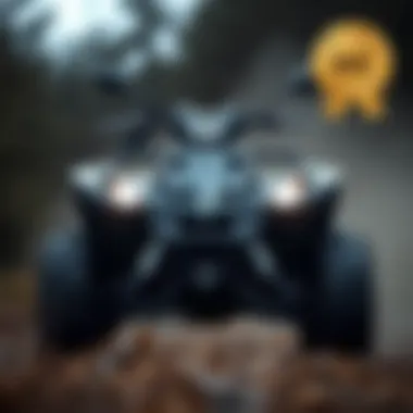 Magnificent An In-Depth Exploration of the Polaris Predator 50 Magnificent An In-Depth Exploration of the Polaris Predator 50