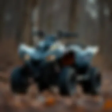 An In-Depth Exploration of the Polaris Predator 50 Introduction An In-Depth Exploration of the Polaris Predator 50 Introduction