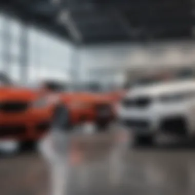 An array of pre-owned BMW models lined up at a dealership, highlighting variety.