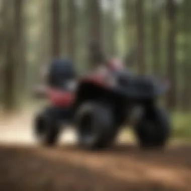 Comprehensive Analysis of the 2008 Yamaha 660 Grizzly Summary