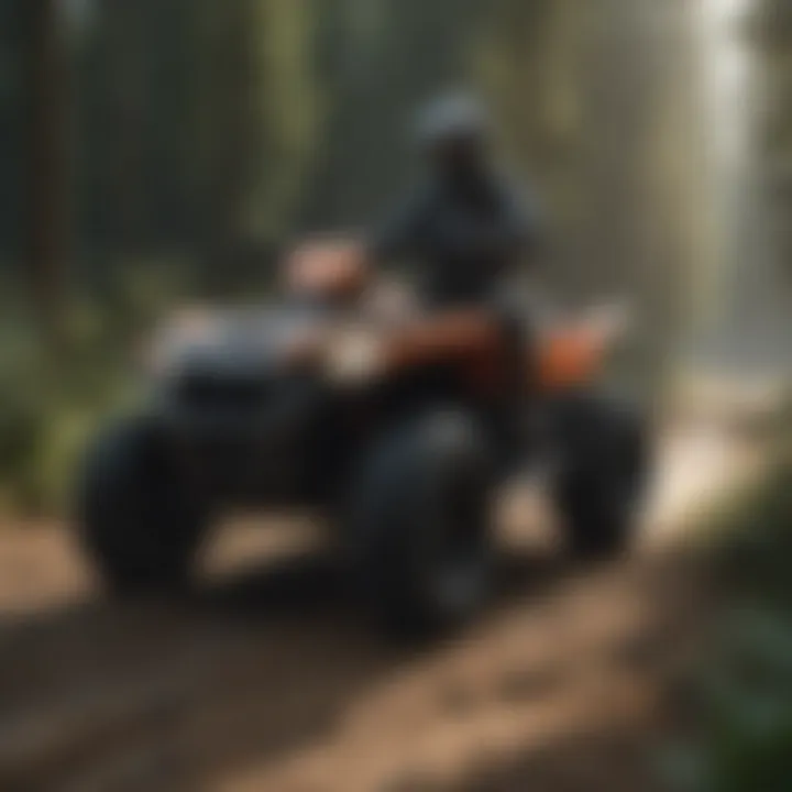 Notable In-Depth Analysis of the 2018 Polaris Four Wheeler