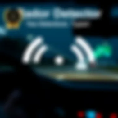 Overview of Radar Detector Types Infographic on types of radar detectors